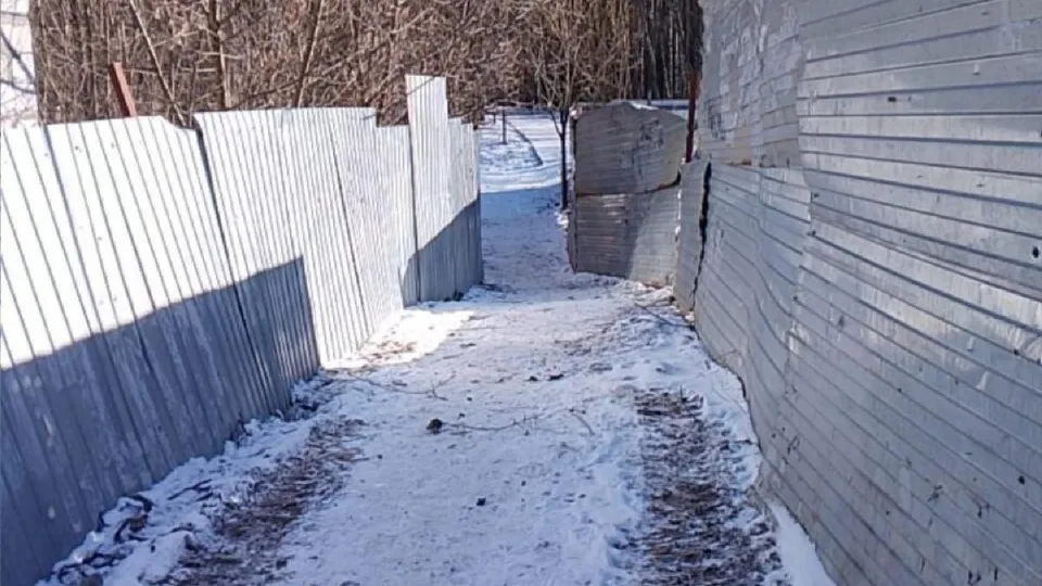 Фото: администрация Одинцовского городского округа