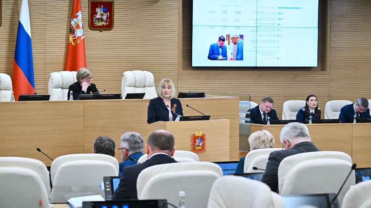 Ирина Фаевская подвела итоги работы за 2024 год