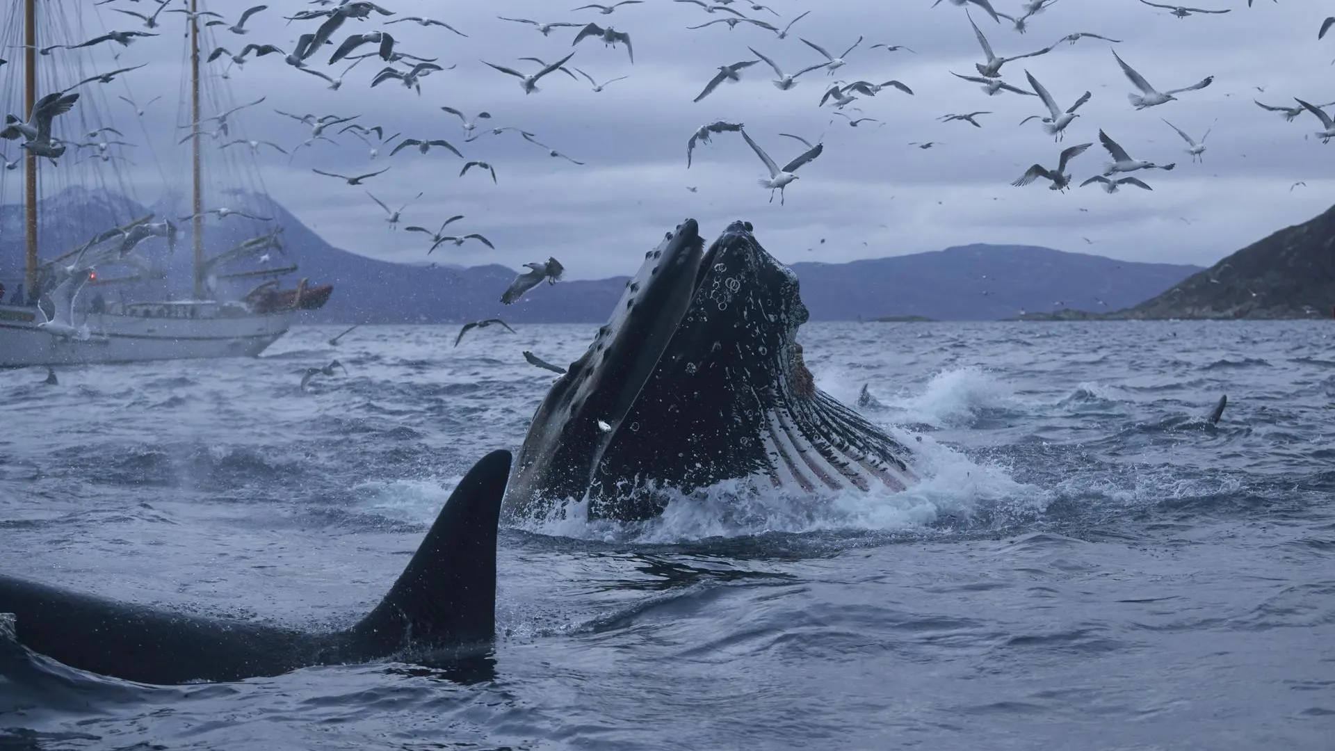 Wolfgang Jäkel/http://imagebroker.com/#/search/