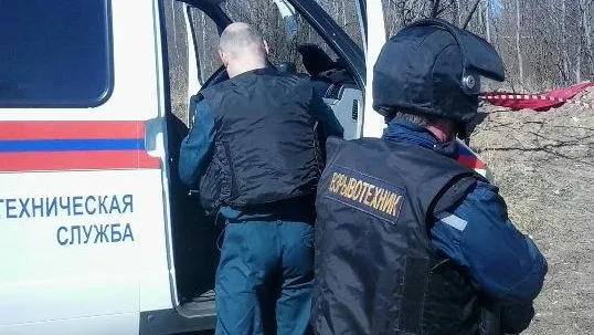 Свыше 200 боеприпасов времен ВОВ уничтожено в Подмосковье