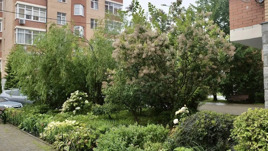 Фото: пресс-служба администрации г.о. Красногорск