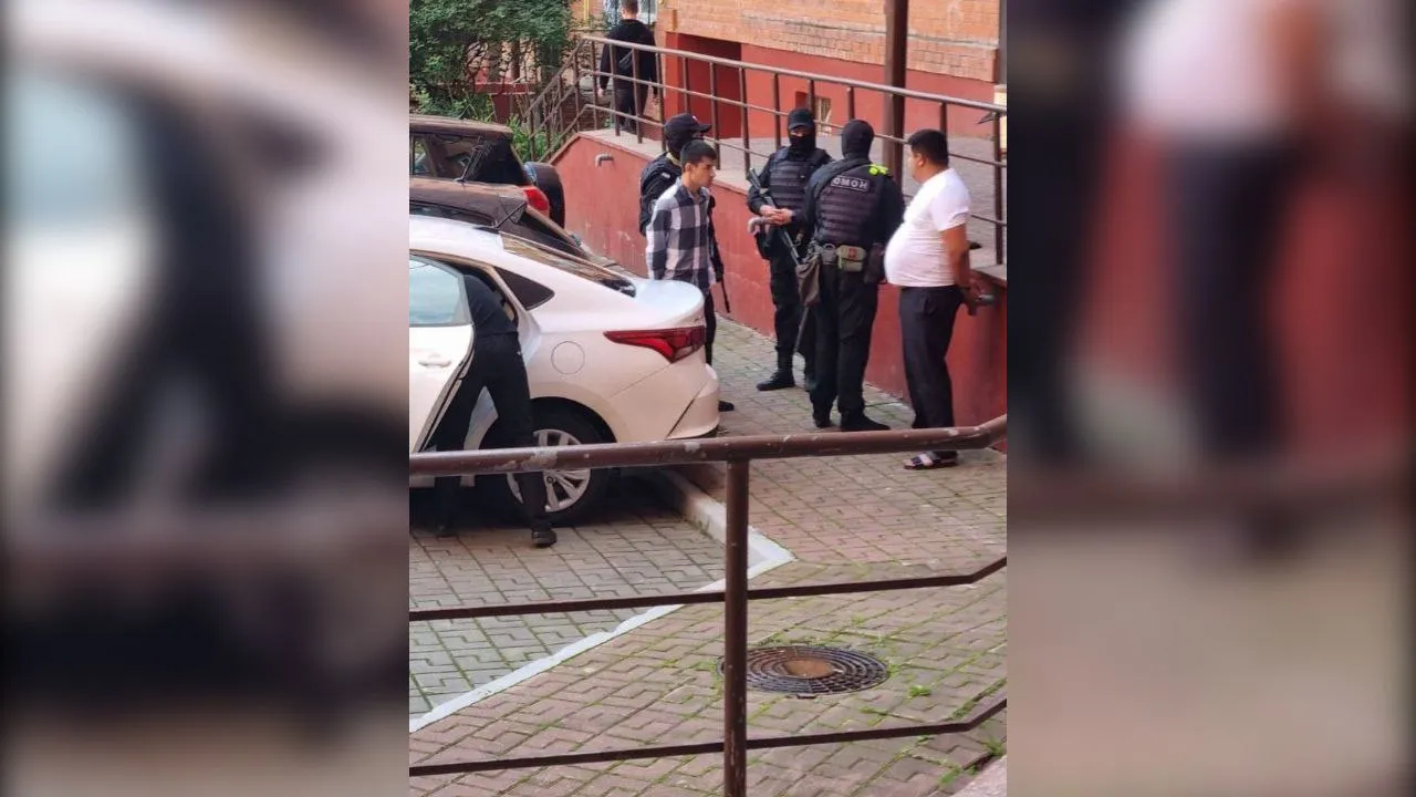 Фото: t.me/domodedovolive