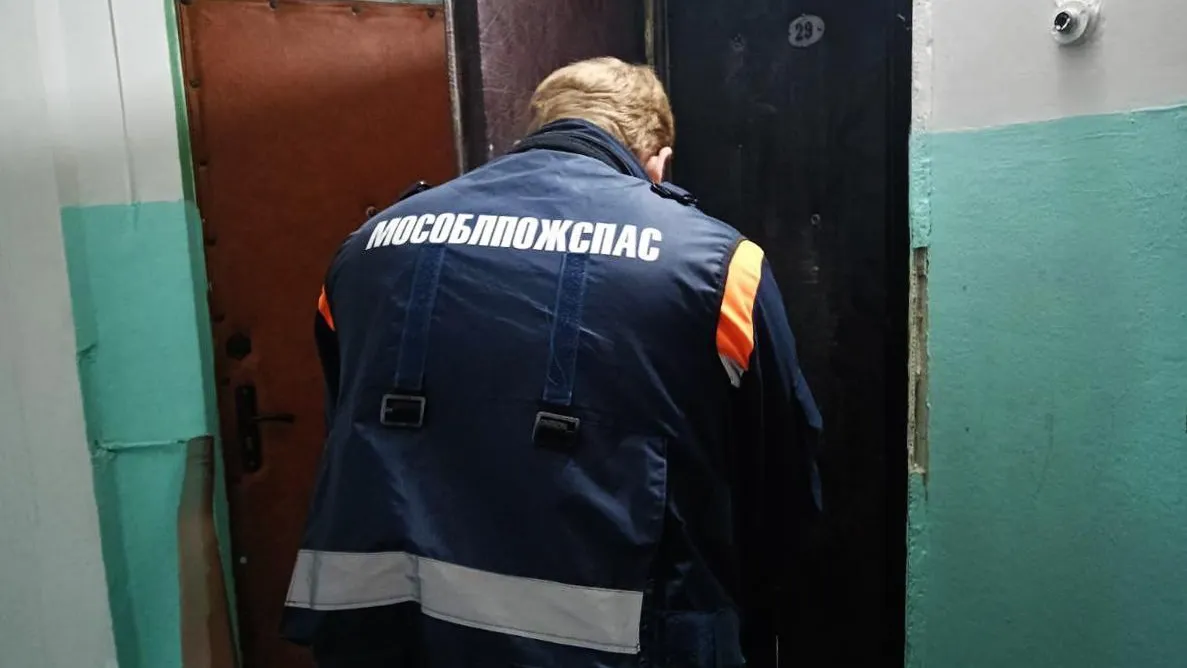 пресс-служба ГКУ МО «Мособлпожспас»