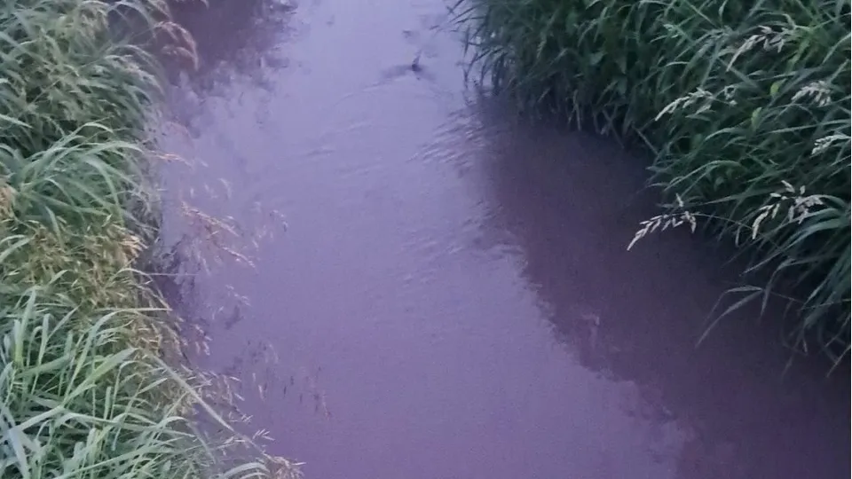 Фото: соцсети