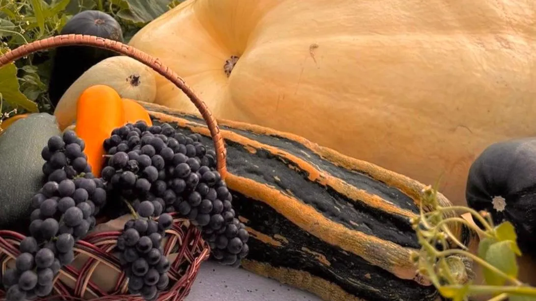 Фото: Наталья Смирнова