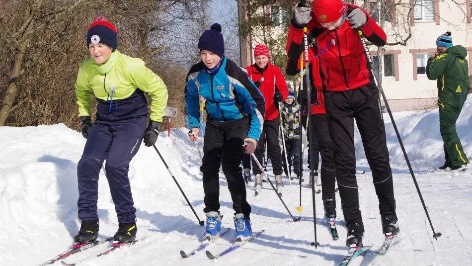 Комитет лесного хозяйства МО