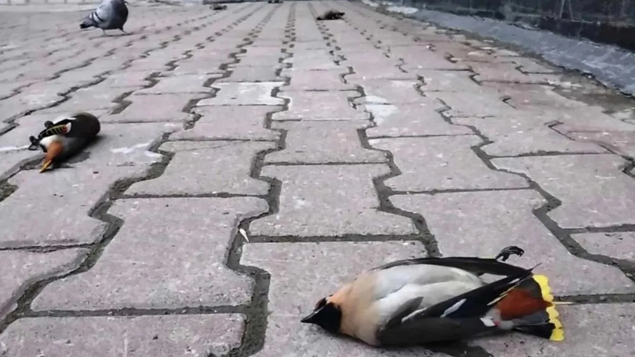 Фото: соцсети