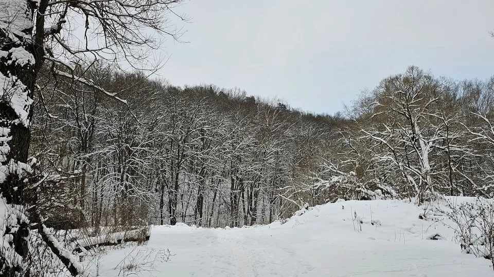 Фото: REGIONS/Александр Дрожжин