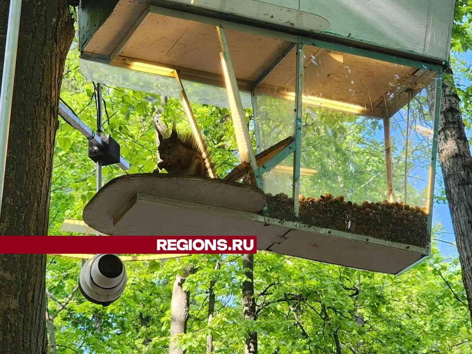 Фото: Ирина Моисеева