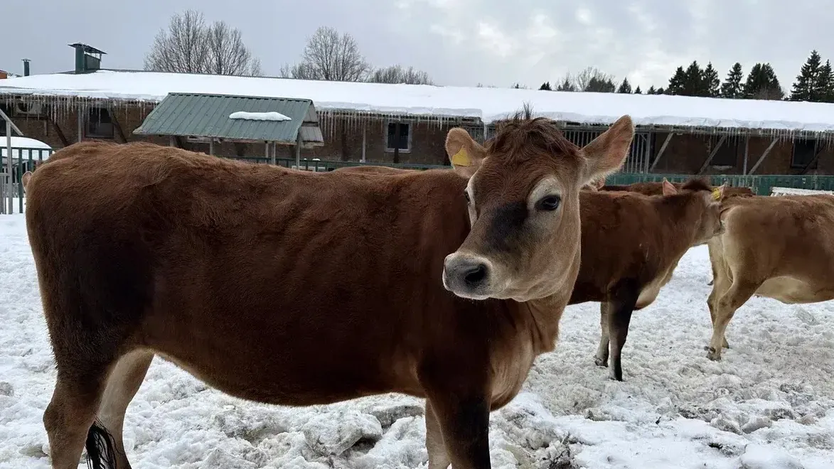 Фото: Минсельхоз МО