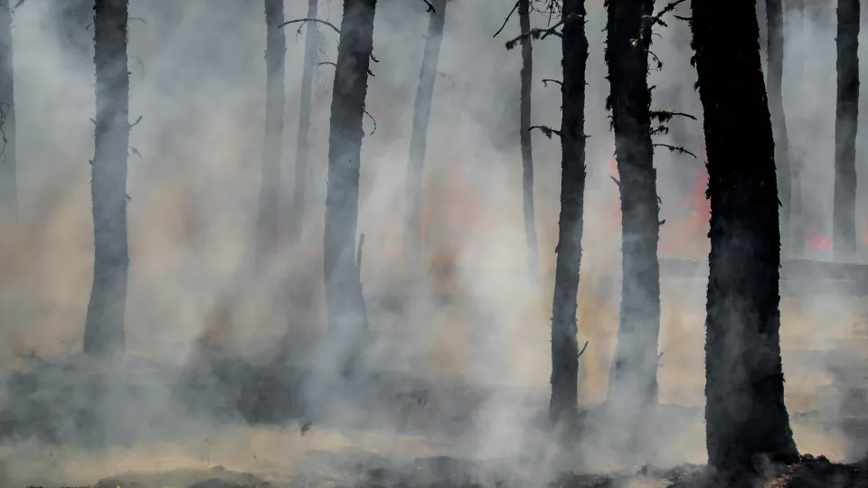 Фото: unsplash.com