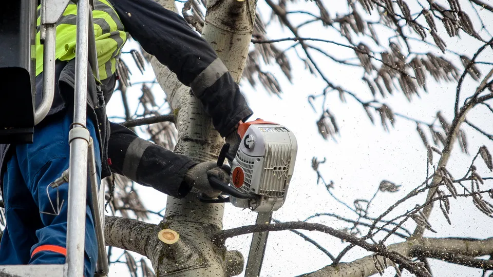 Фото: пресс-служба администрации г.о. Кашира