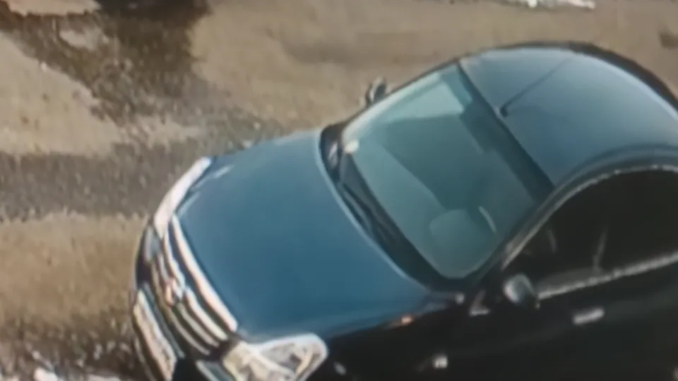 Фото: кадр с камеры видеонаблюдения