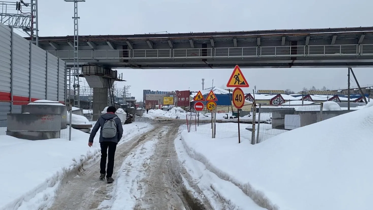 Анна Артюшина