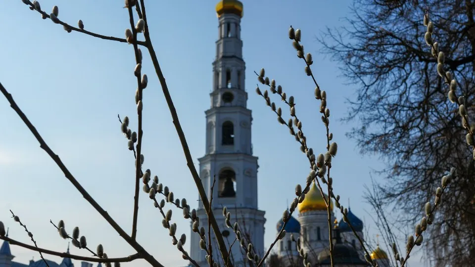 Фото: МедиаБанк Подмосковья/Мария Юдина
