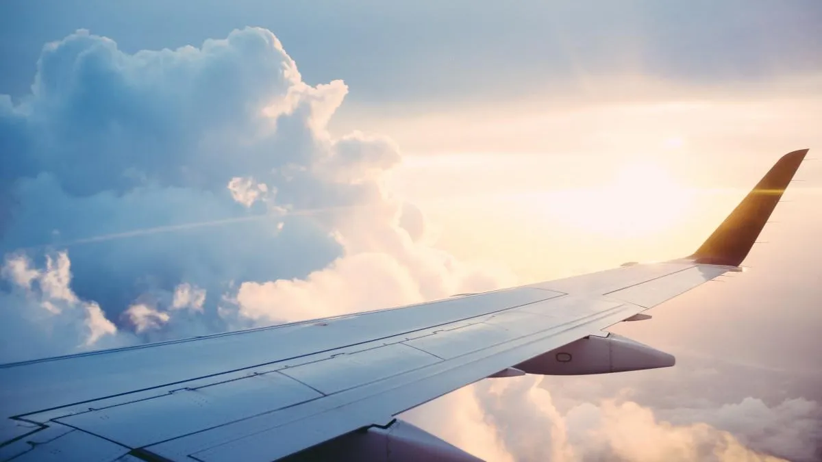 Фото: pxhere.com