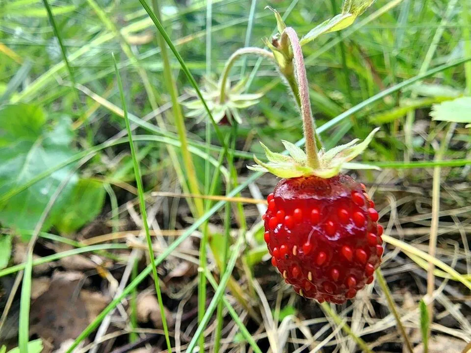 Фото: Мария Панина