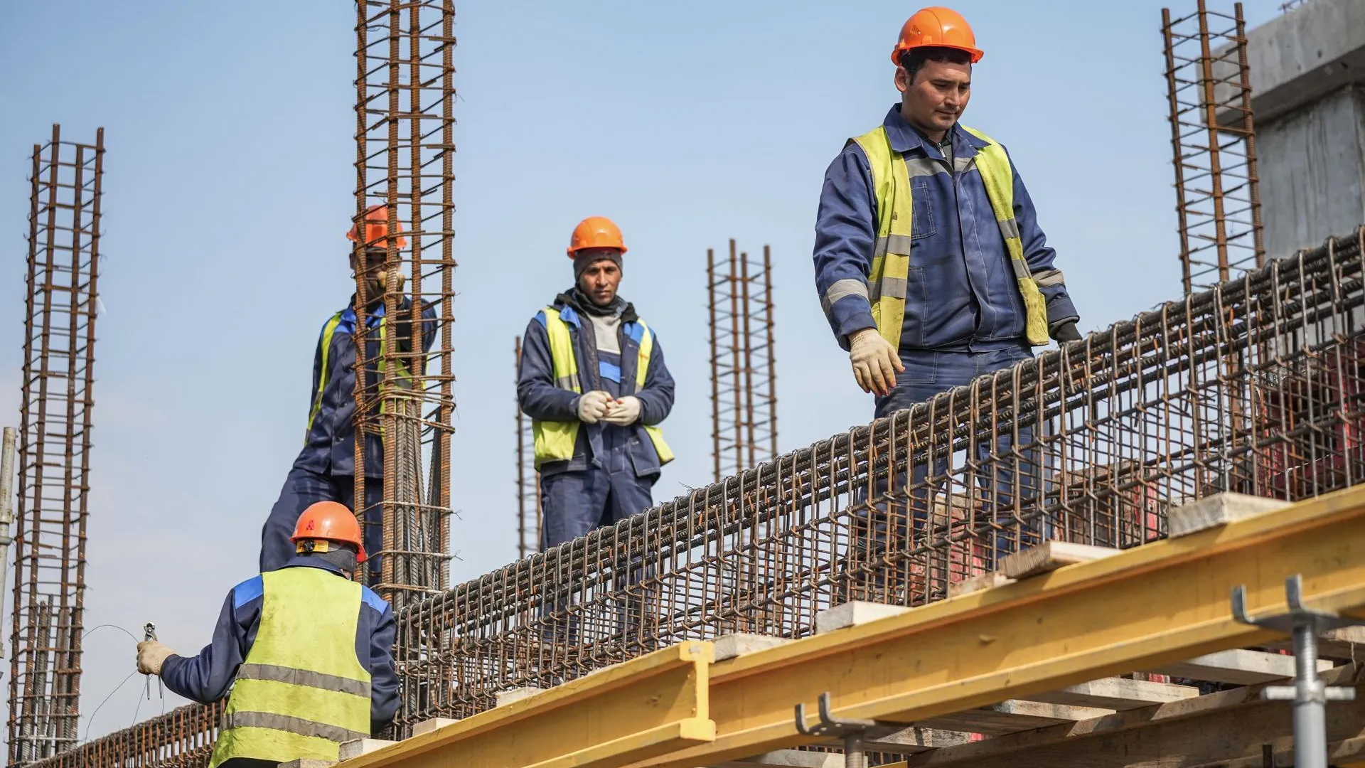 Фото: Медиаархив Подмосковья