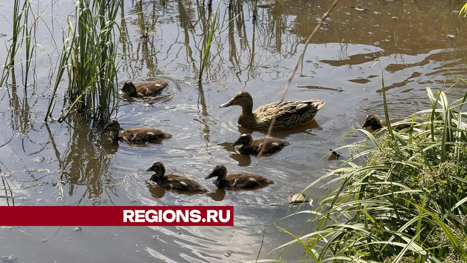 Фото: Татьяна Рунова