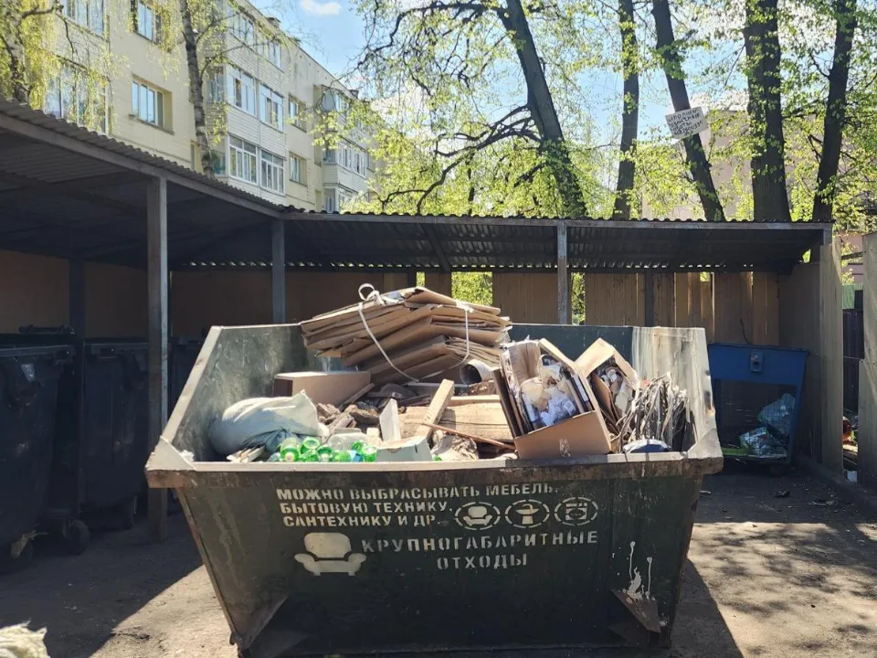 Фото: Хавива Фонина