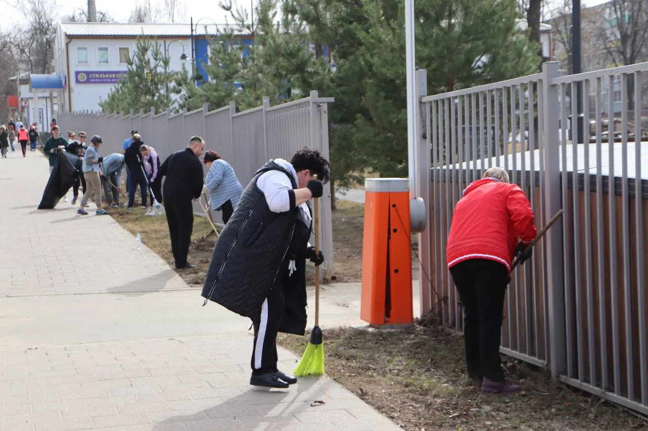Фото: пресс-служба администрации г.о. Зарайск.