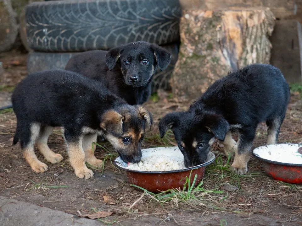 Фото: istockphoto.com