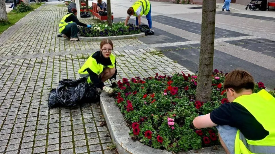 Фото: Министерство по содержанию территорий и государственному жилищному надзору МО