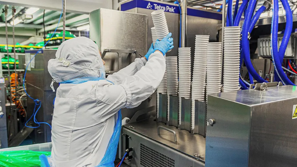 Фото: Компания «Айскейк-Эко»