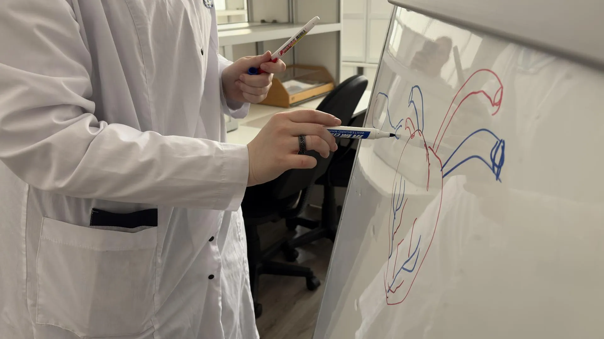 МедиаБанк Подмосковья/Анна Нестерова