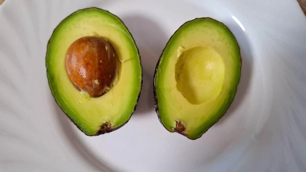 REGIONS/Юлия Габбасова