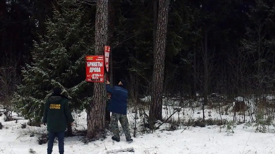 Фото: Комлесхоз МО