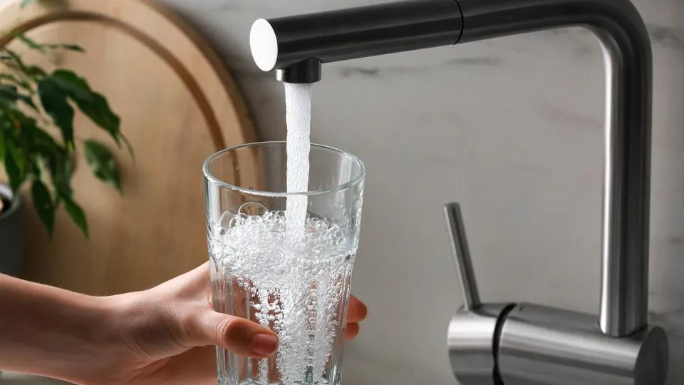 Фото: istockphoto.com/Liudmila Chernetska