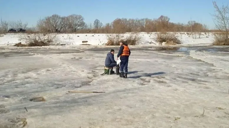 администрация г.о. Воскресенск