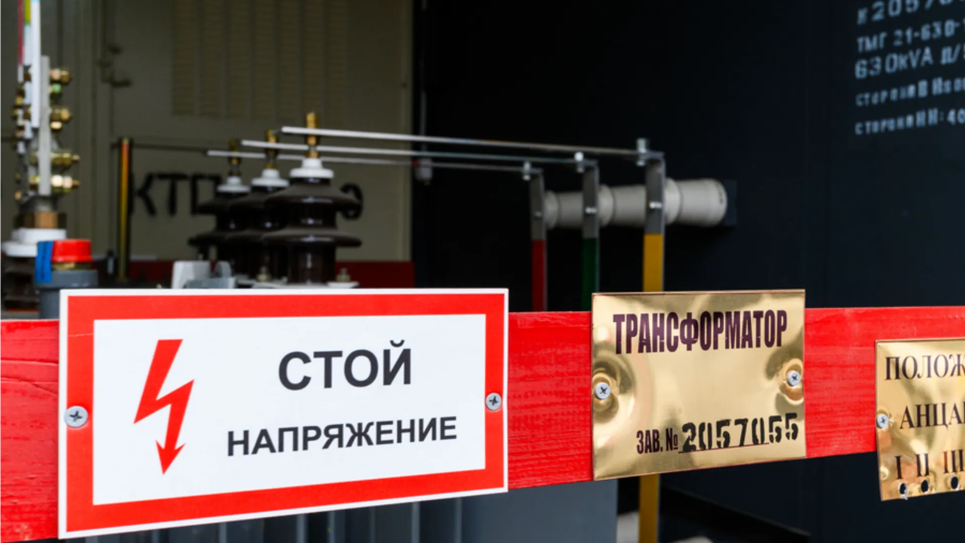 Фото: медиасток.рф