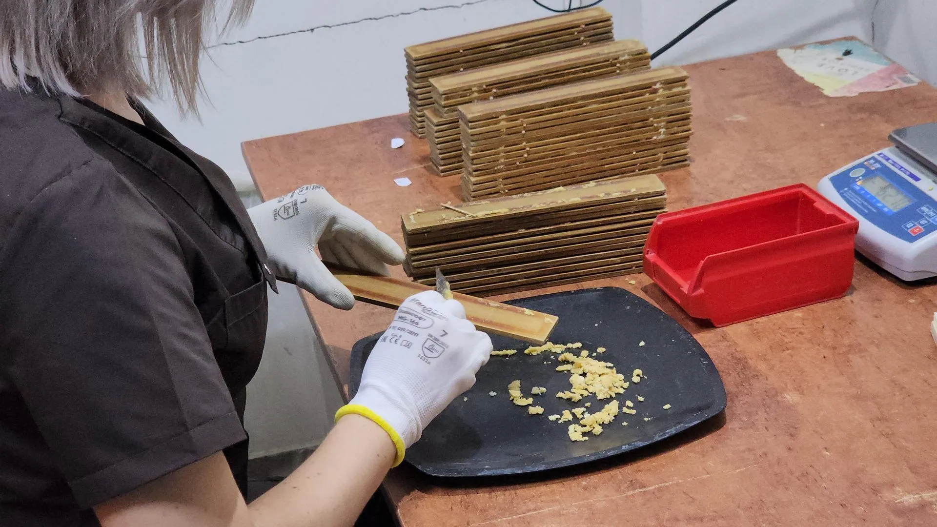 REGIONS/Роман Кутузов