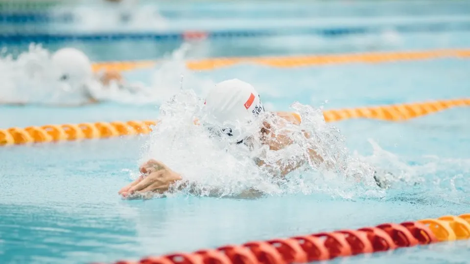 Фото: pxhere.com