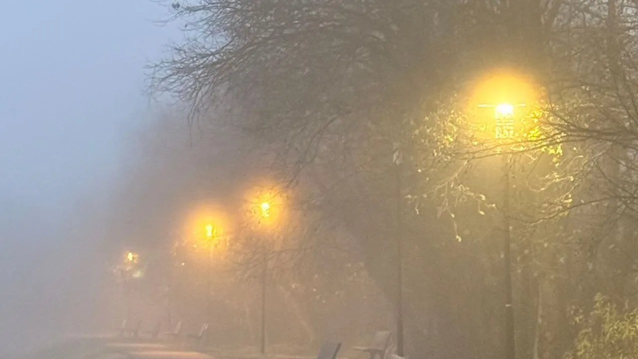 Фото: личный архив Марины Алифановой