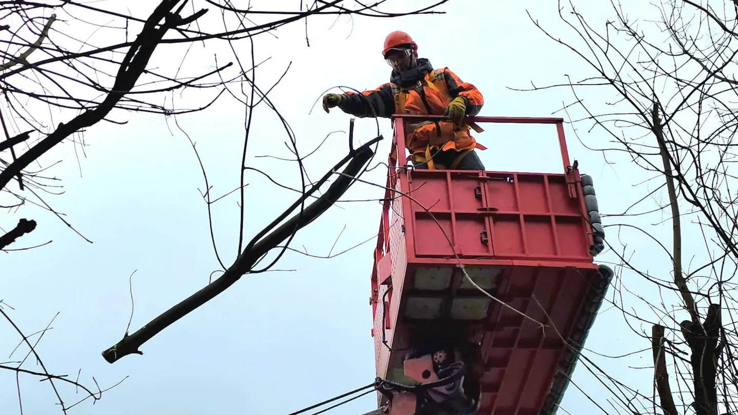 Фото: REGIONS/Александр Степушкин