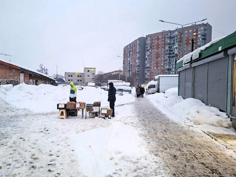 Фото: пресс-служба администрации городского округа Мытищи