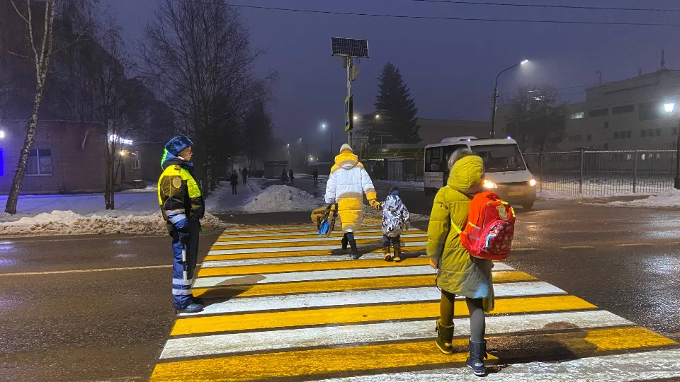 Фото: Отдел Госавтоинспекции ОМВД России «Лотошинский»