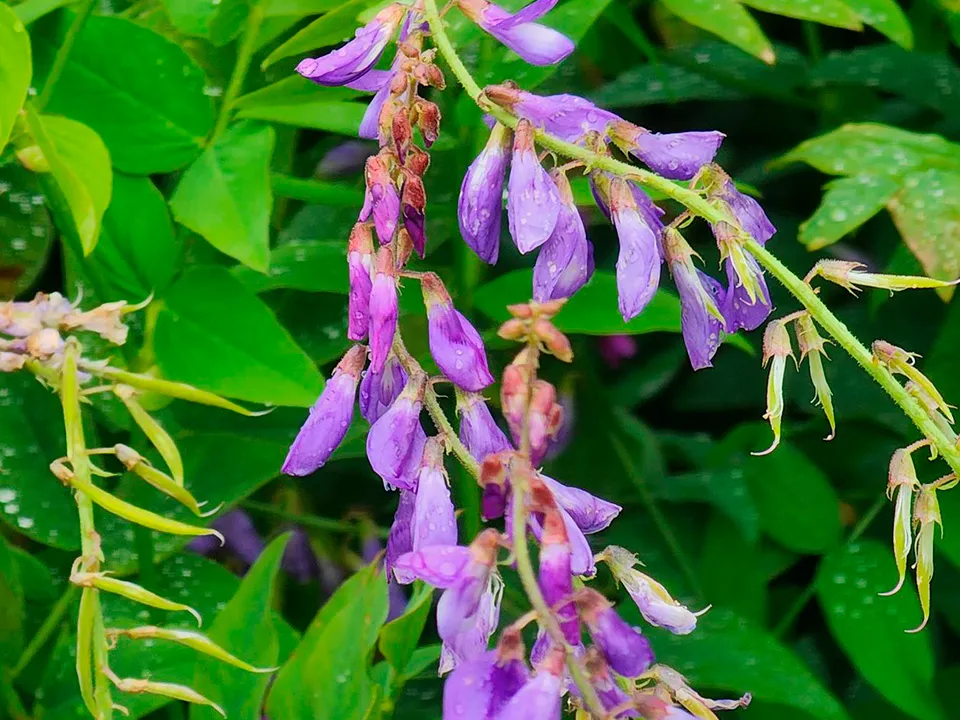 Фото: Валентина Максимова&nbsp;