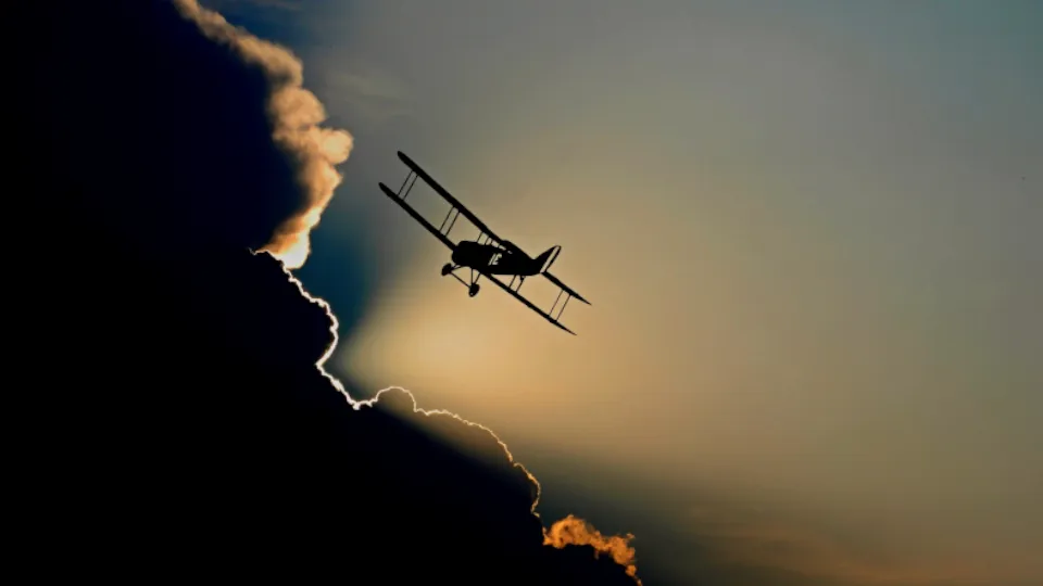 Фото: pxhere.com