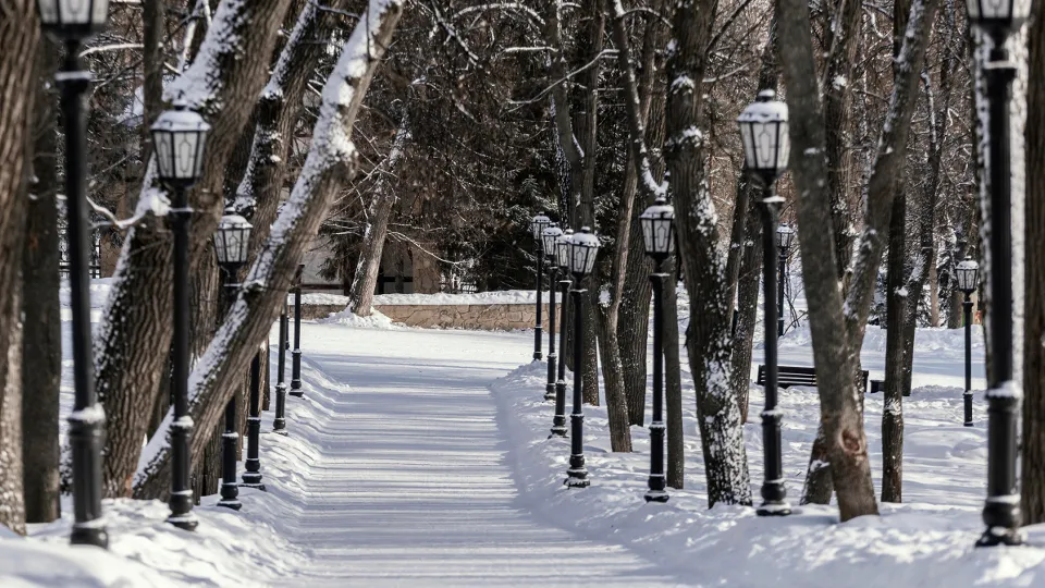 Фото: freepik.com