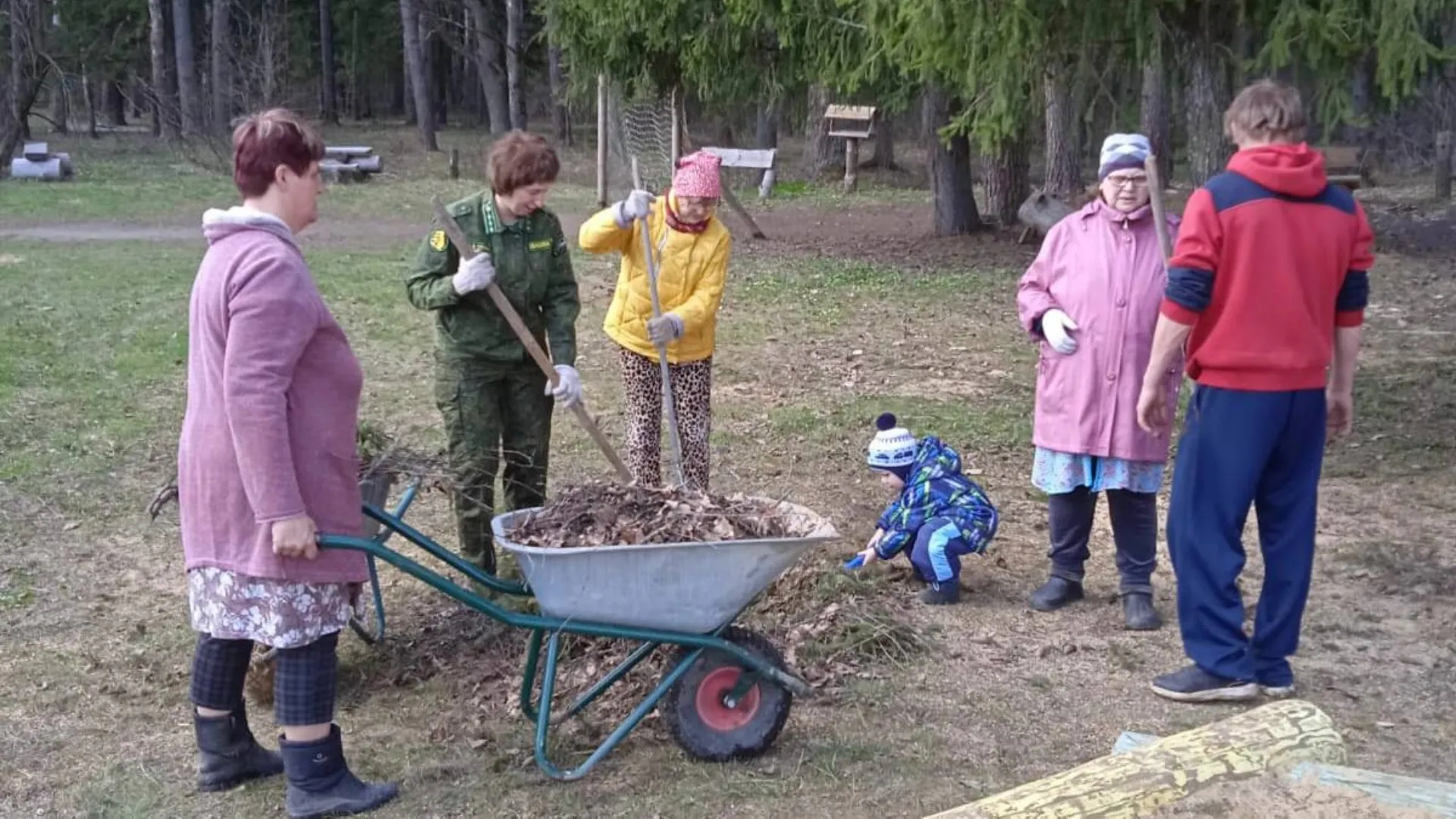 Фото: Егорьевское лесничество