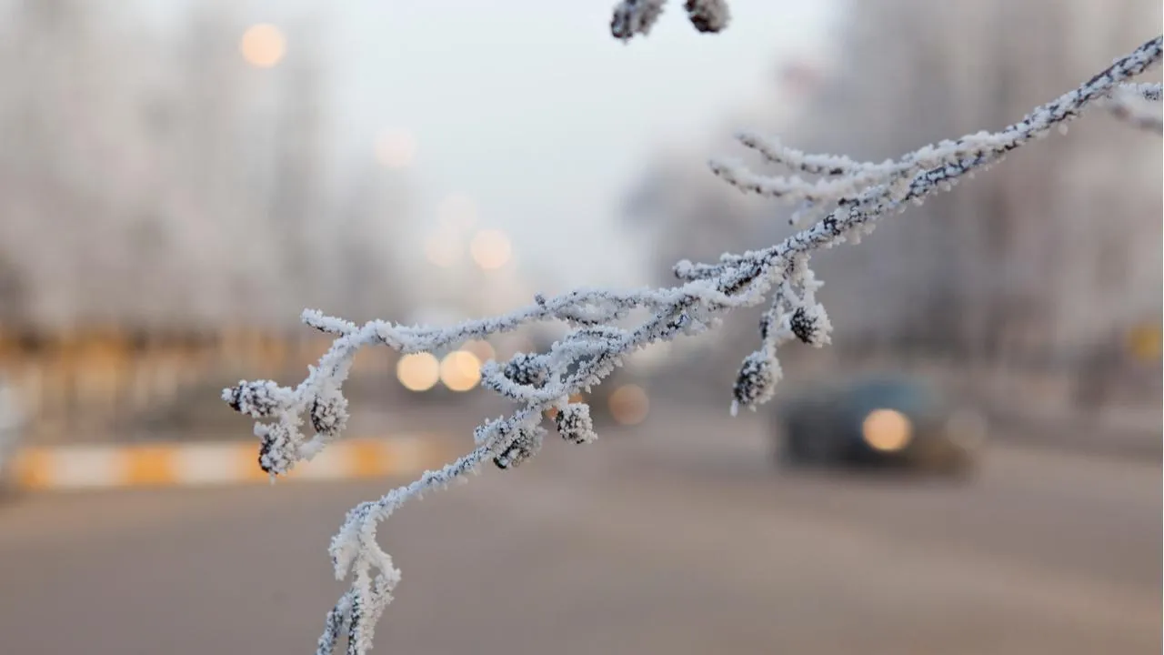 медиасток.рф