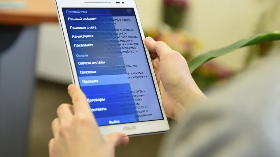 Фото: Медиаархив Подмосковья