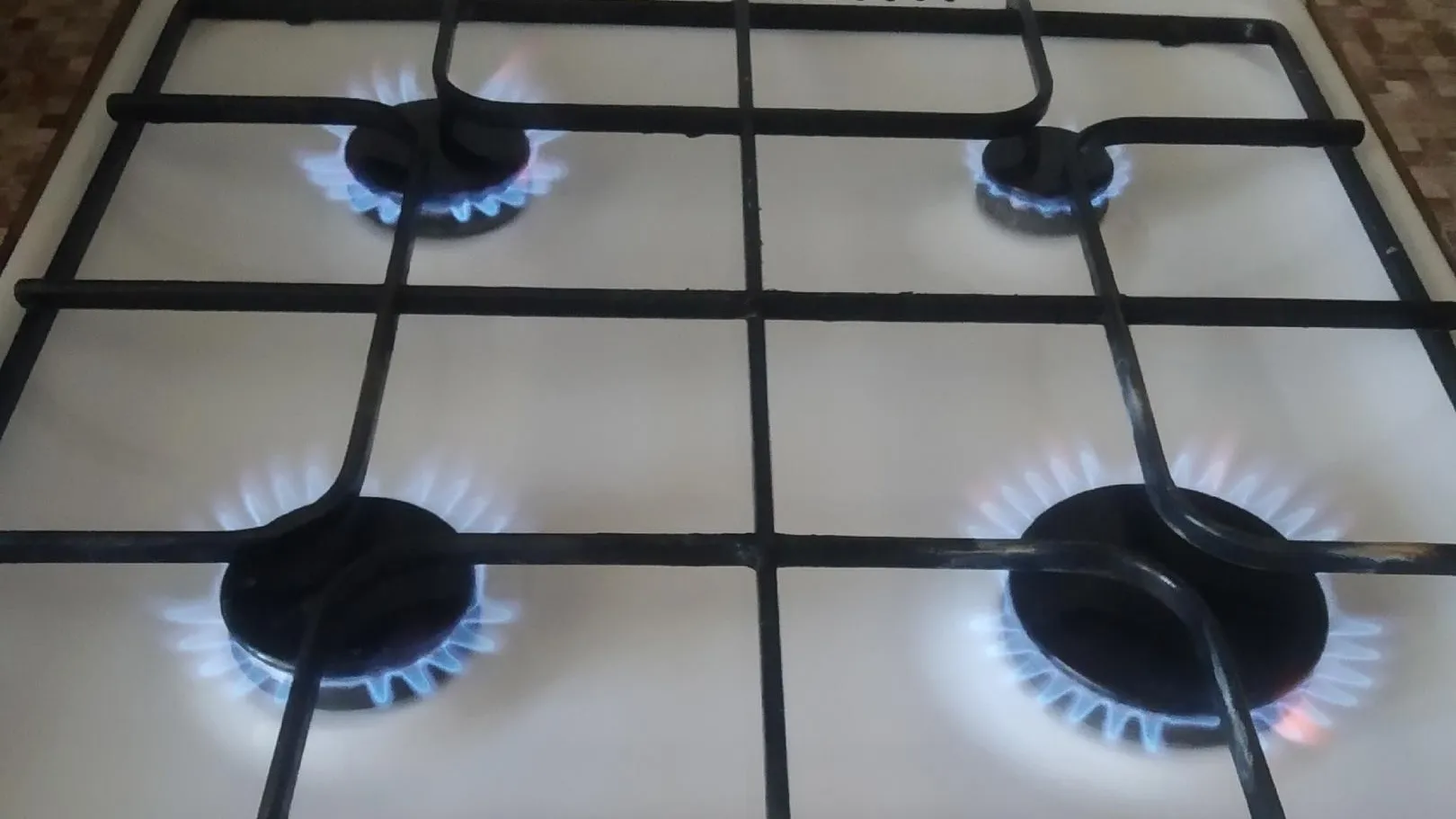 Фото: Татьяна Синельникова