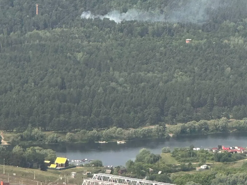 Фото: Комитет лесного хозяйства Московской области