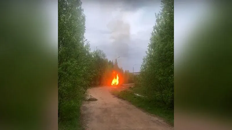 Подростки из Кубинки подожгли мусор рядом с лесом