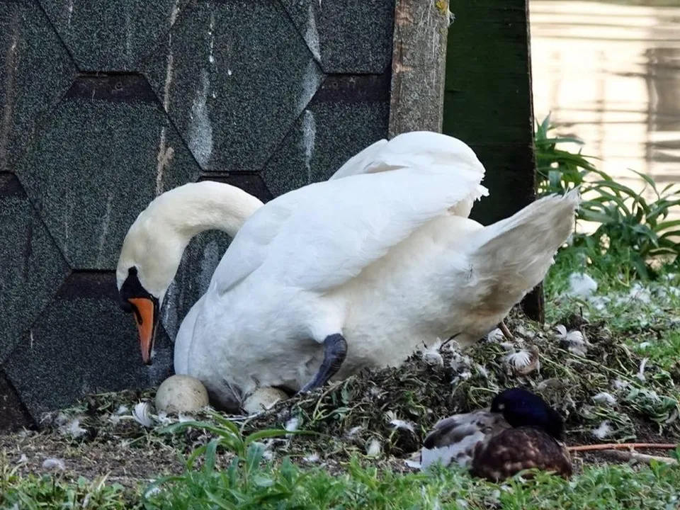 Фото: Дарья Леонова